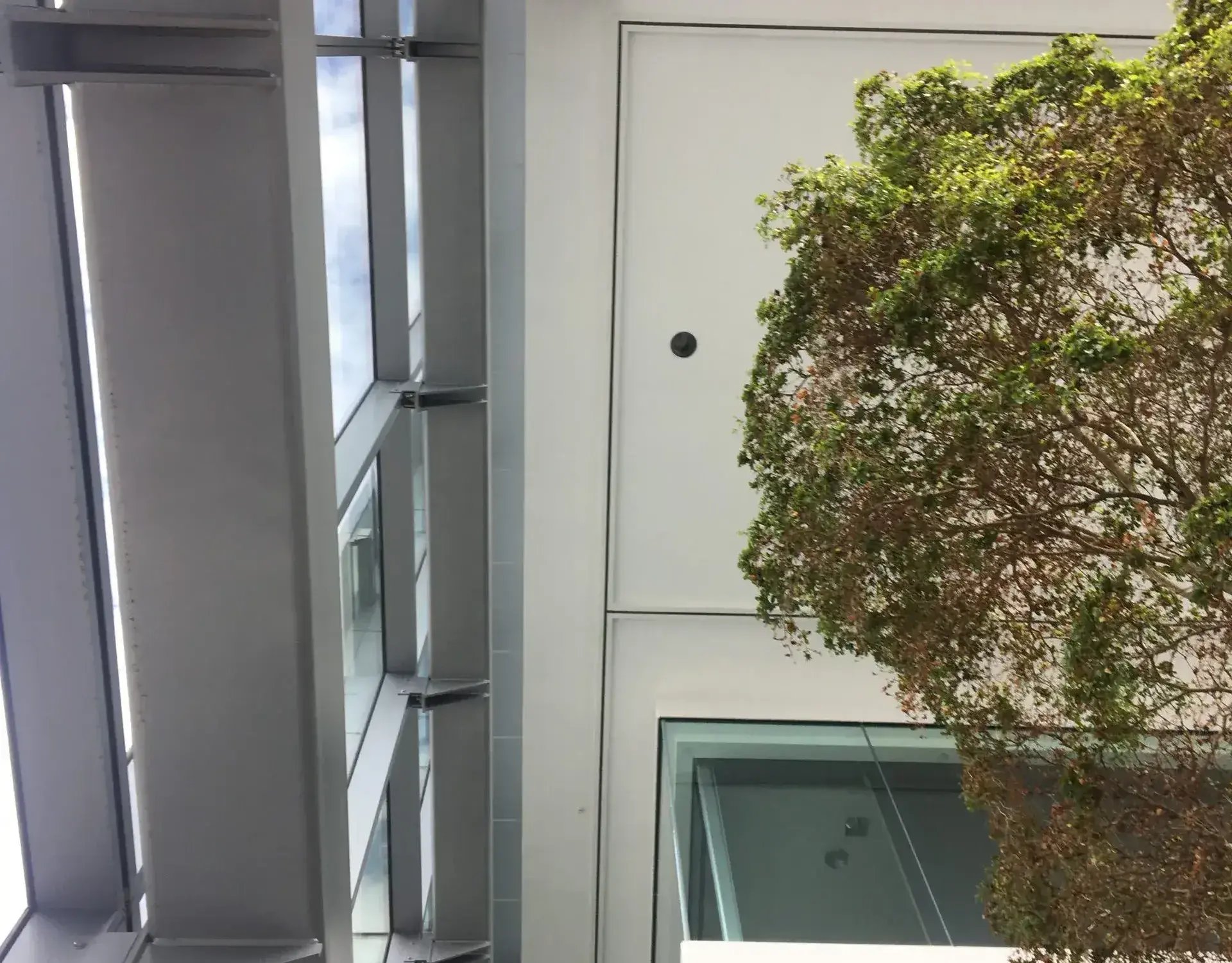 monorail window washing interior
