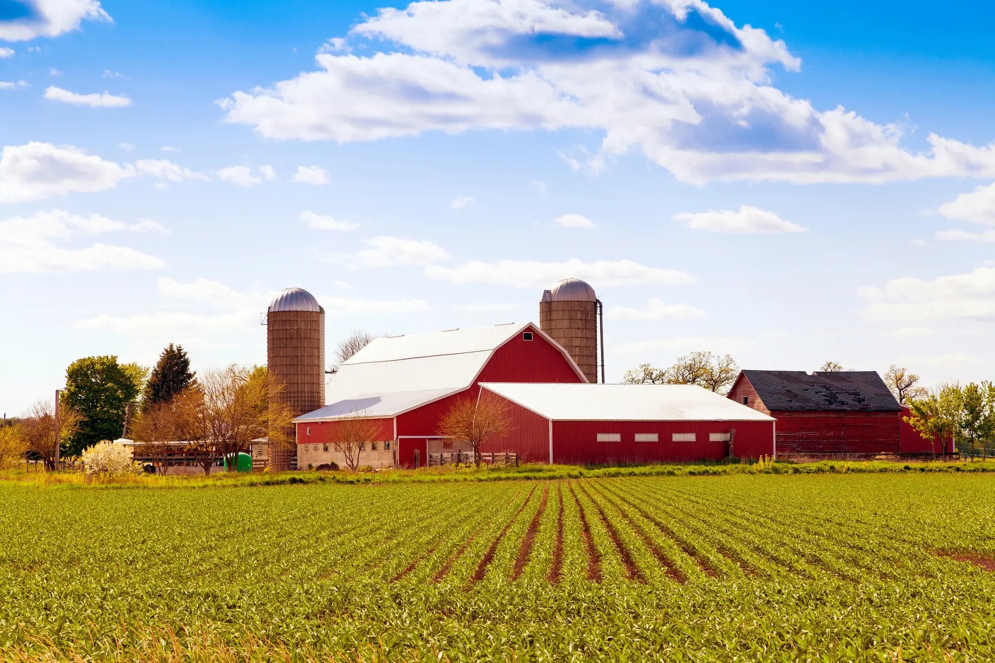 Stock Farming Image
