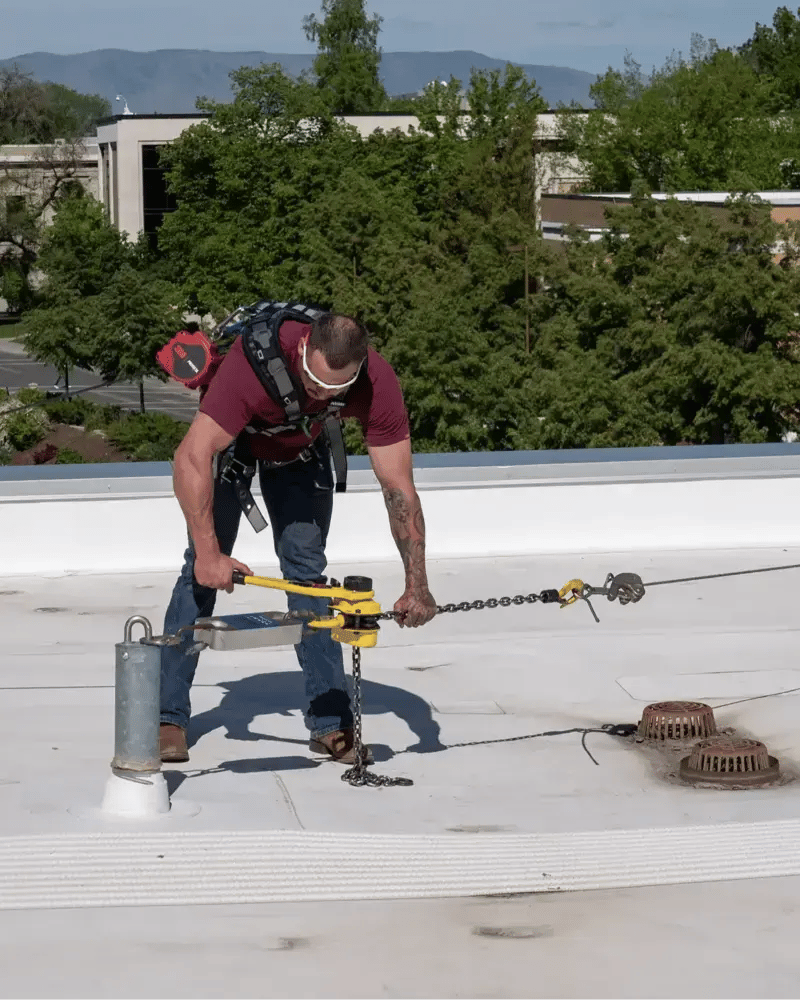 fall protection testing-portrait