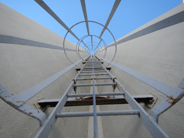 ladder cage with vertical lifeline system