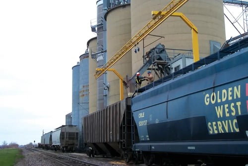 rail industry fall protection overhead fall arrest system